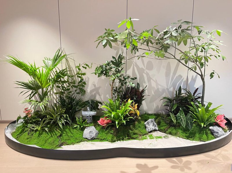 绿植租摆