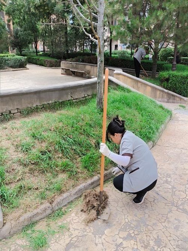 园林绿化工程：城市绿肺的呼吸之道